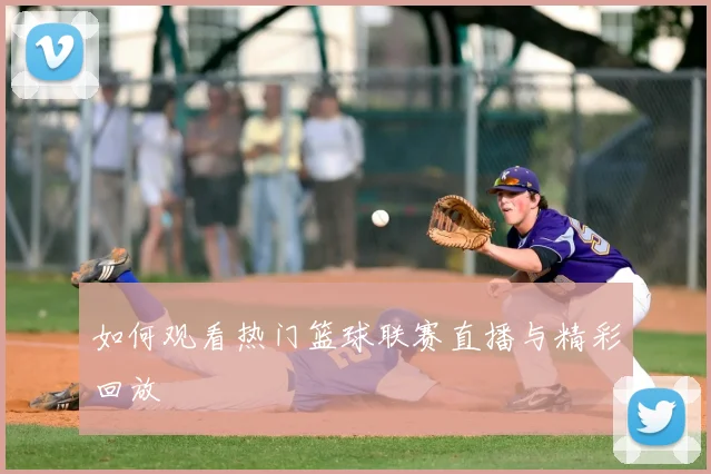 如何观看热门篮球联赛直播与精彩回放